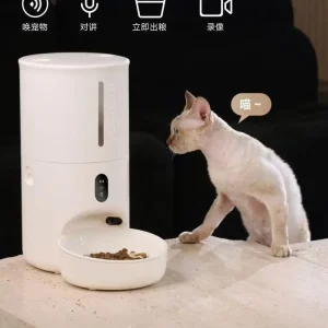 【手辦】 間諜過家家 阿尼亞 景品