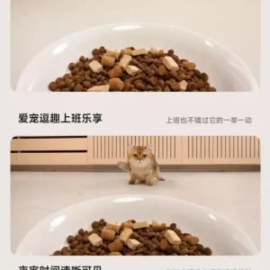 【盲抽徽章】 鬼滅之刃 全角色隨機